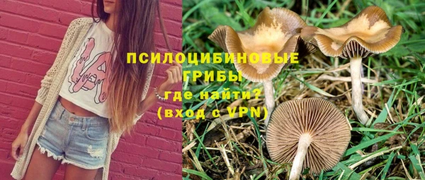СК Рославль